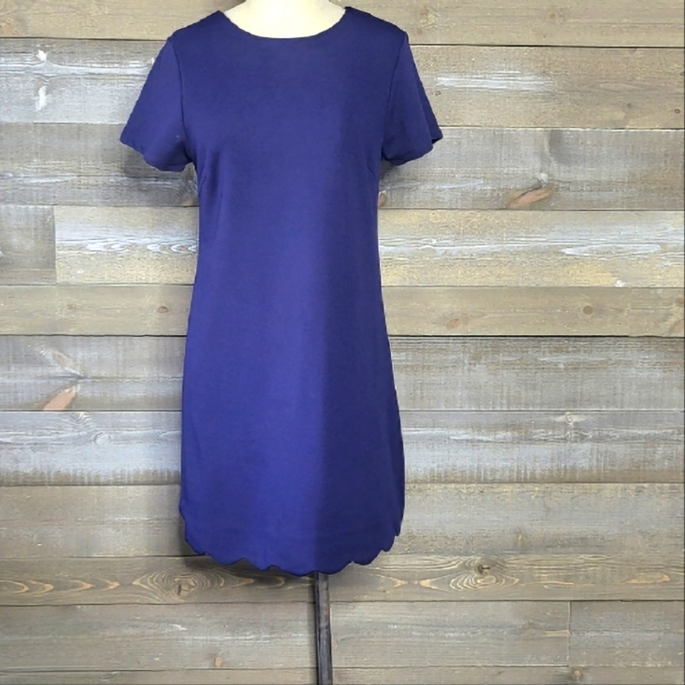 Francesca's mi ami Scalloped Hem Crew Neckline Short Sleeve Mini Dress